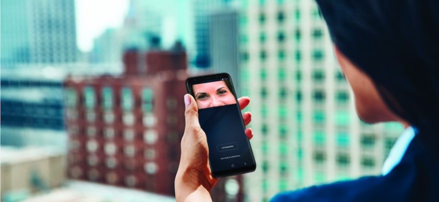 Your Phone Is Gone — Now What?